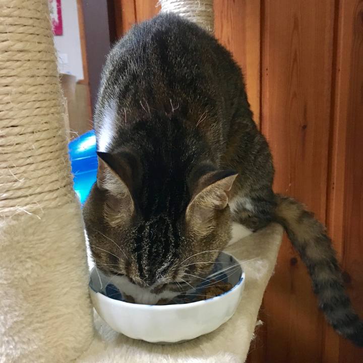 B48d3127 af83 4602 8c73 473691683d0e