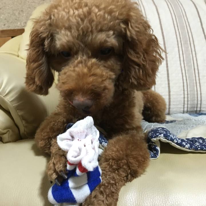 B48d927f 73f8 4b75 b101 6bafa882bc58