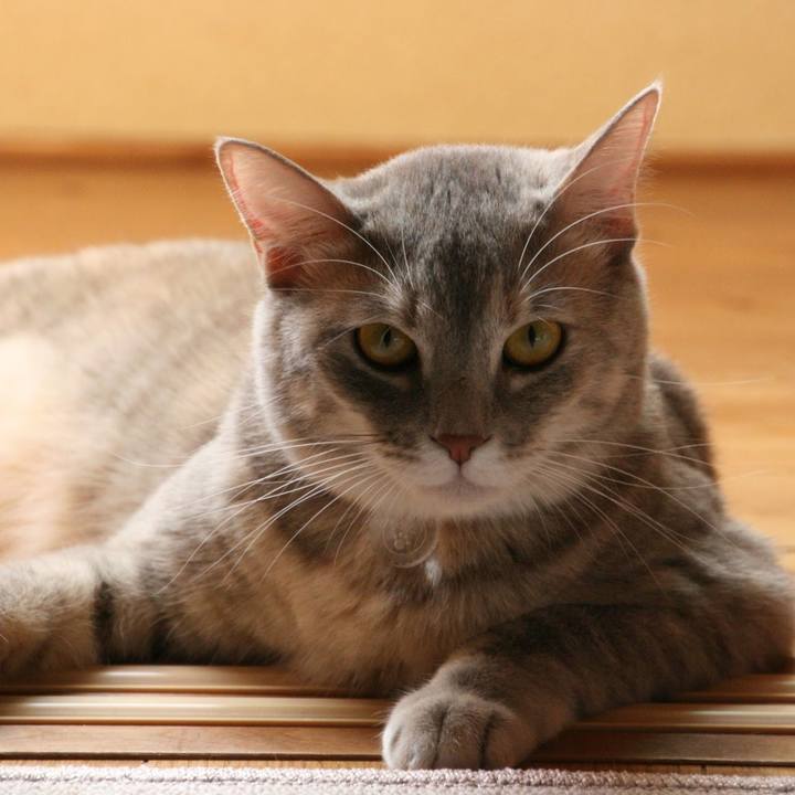 B48df335 d985 4b1e 9a65 d5219b200bca