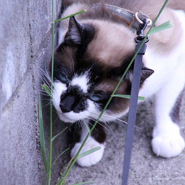 B48dfb57 c3cf 4699 b079 515d58495241