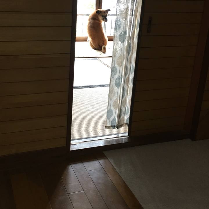 B48e9540 92e1 4f5f aae0 389a3a72a791