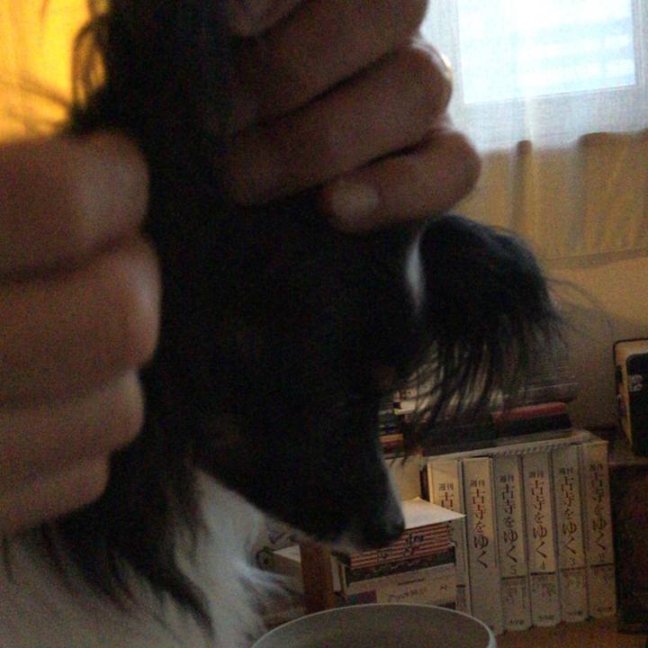 B48ea56a 5cff 471d ab91 ee2858da70bd