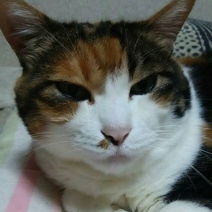 B48f7c64 8ed1 4d23 bab1 dbb55b9a421b