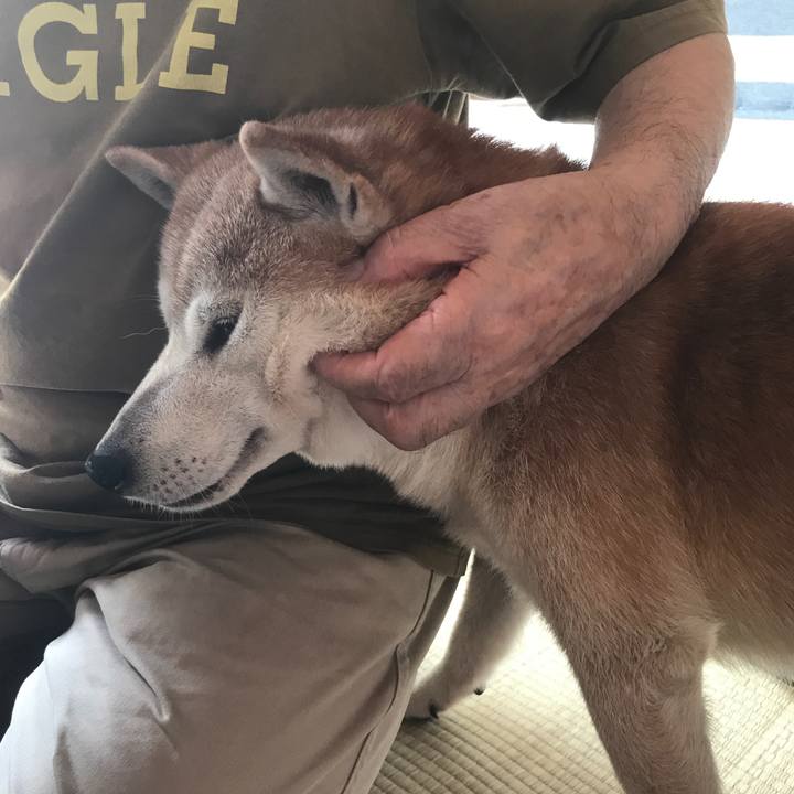 B49082e0 24cb 4a17 b8ce 7c1754d71e5e