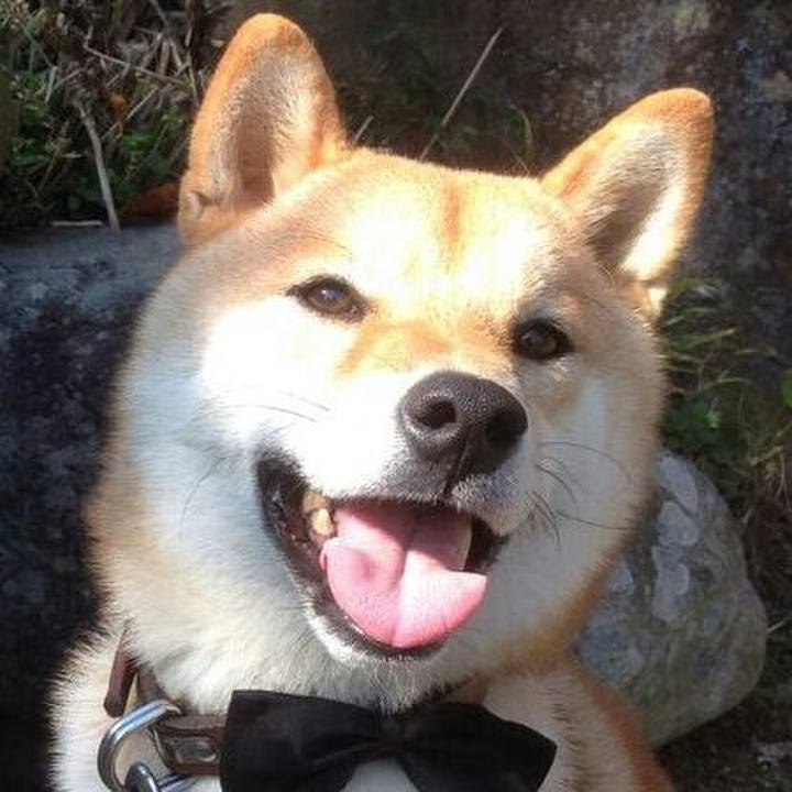 B490b27a ddca 47d5 ab43 986b25e350be