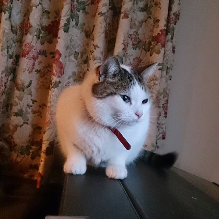 B490c564 ad96 48b1 b7c4 abf845cc32ee