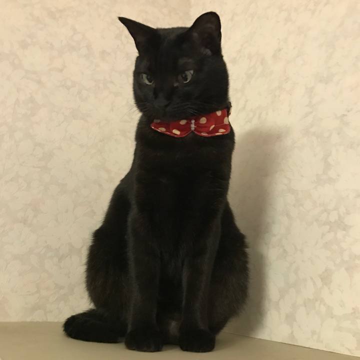 B4916cd0 5d7b 4285 9674 1739d5853631