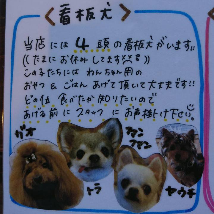 B491a008 97be 4974 8f09 c7e7ed4b7892