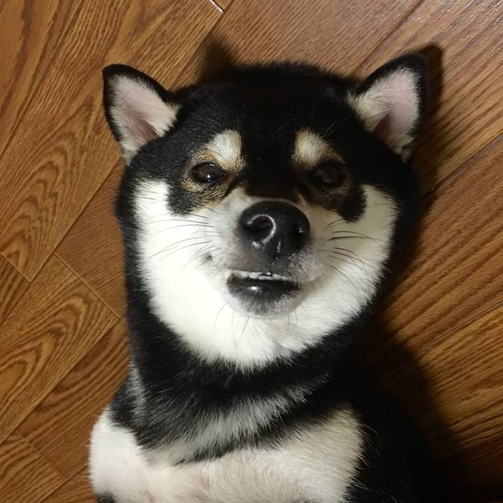 B4922e10 8bca 4417 944d 0ef514d9eabf