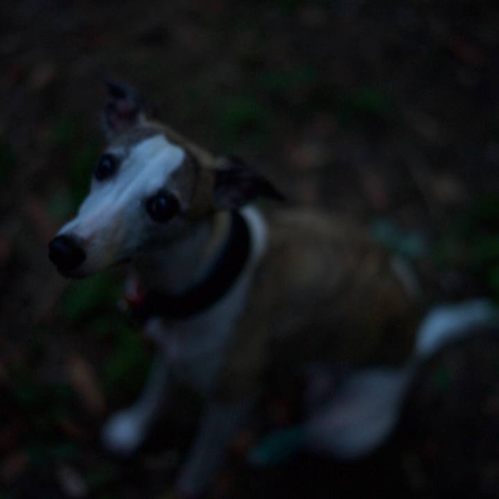 B492e4dc fd9b 4606 9efa 6930b5b73de2