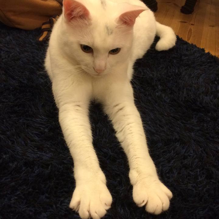 B492efbf 2e46 450f a6d0 73fe5779ce87