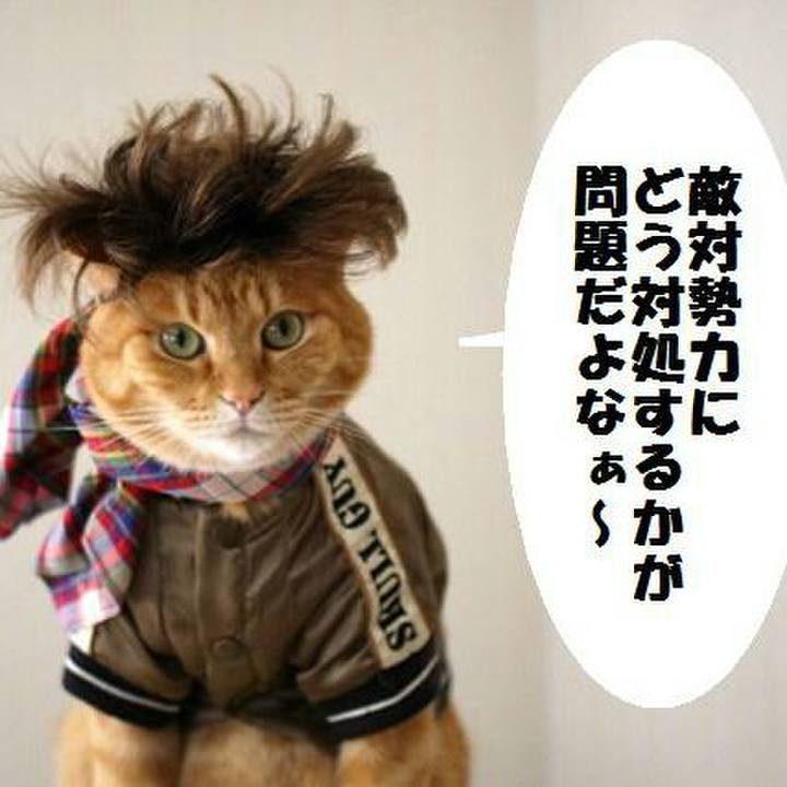 B492f13b 949c 4c2f ac49 f87a52bbdcce