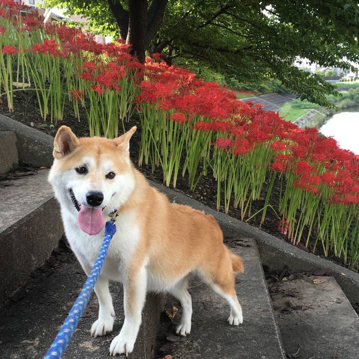 B4939148 480a 4d93 a3cd e43813f5fd90