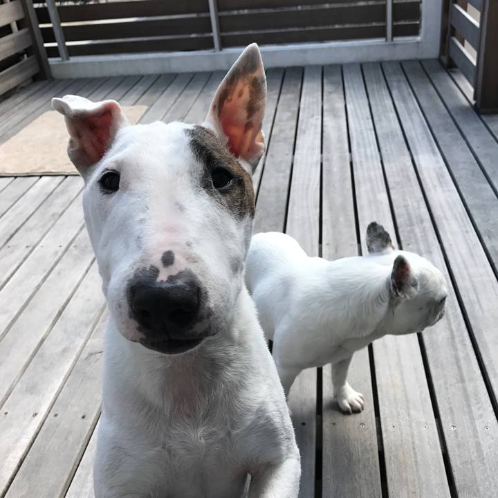 B493964b 058c 4639 b53c 0f9574c5857a