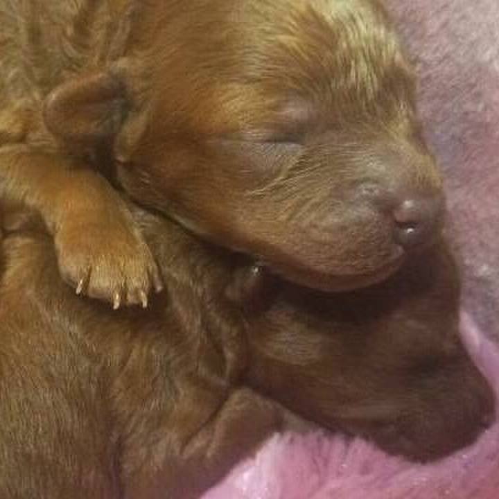 B494126d d361 4418 a77e 2807314409fe