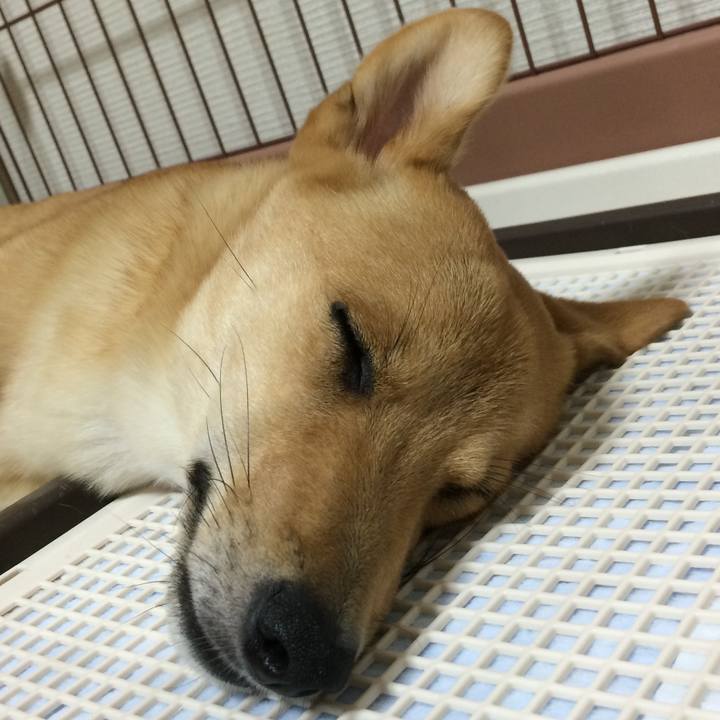 B4948dd7 a752 481d 9e2e 02136c2ad17b