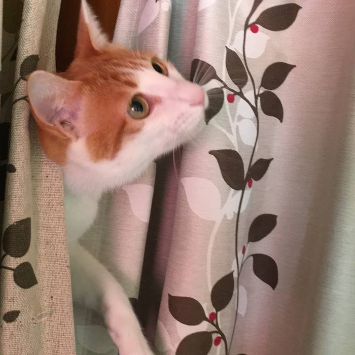 B495cd6f 4f49 43b3 a161 ef7282567bdc