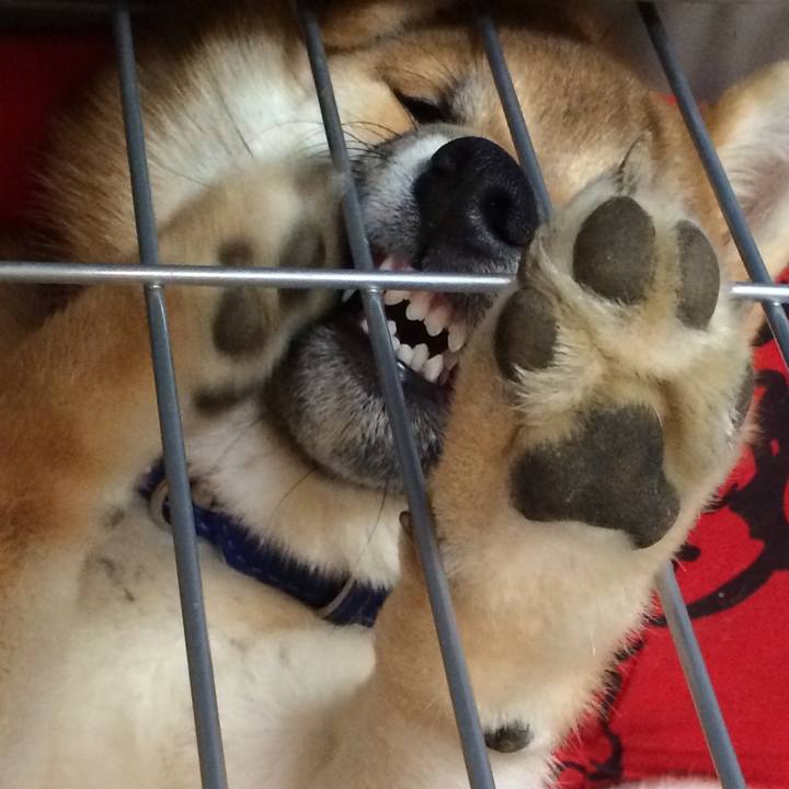 B496b94c 27ac 46e9 bcfa ad8e1ac094f0