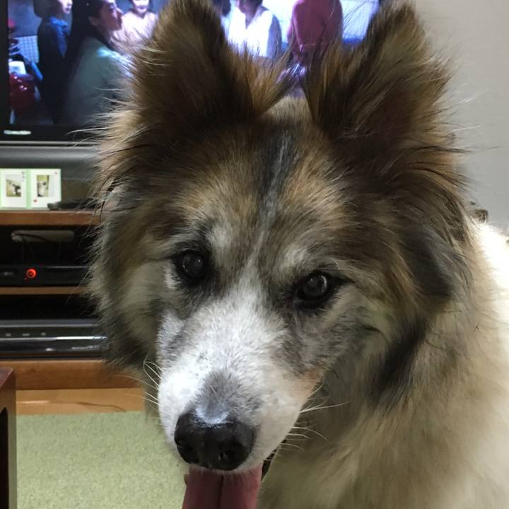 B496e573 86ad 457e a149 6e0106902dc8