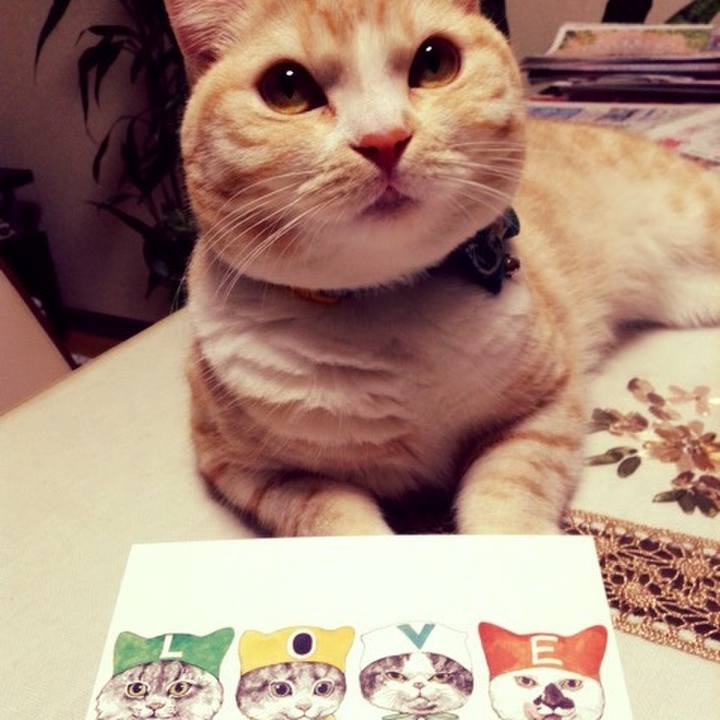 B4970669 d064 408f 877f 53cc7275c3aa