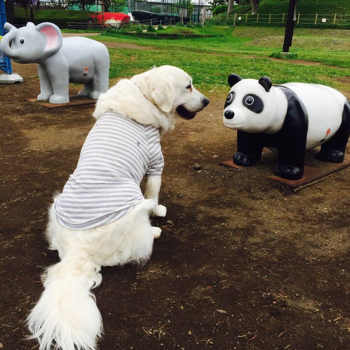 B49765b7 a42f 48c8 995f c47dbbe88997