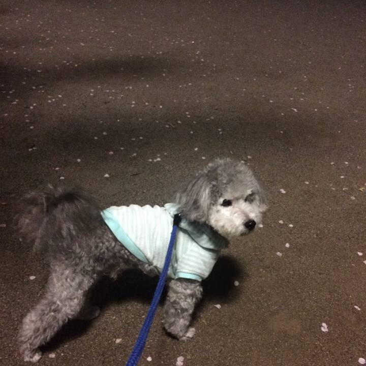 B497a817 58f8 4785 bee1 43fee69a065a