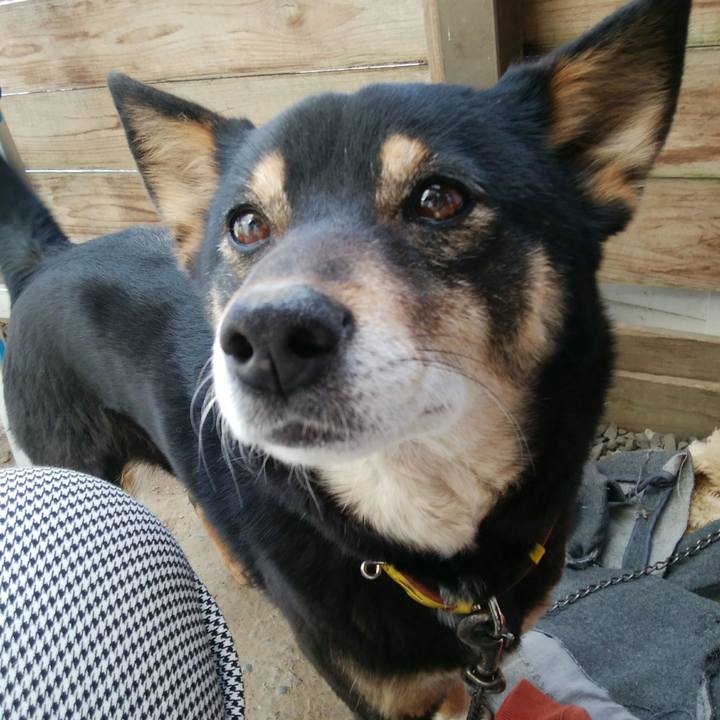 B497ee7c 36c9 48a4 92df dd2a0075197d