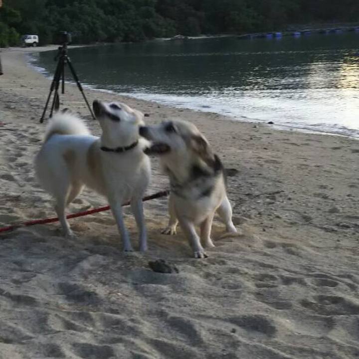 B49818b3 bedc 4909 a3d3 eac1fc979428