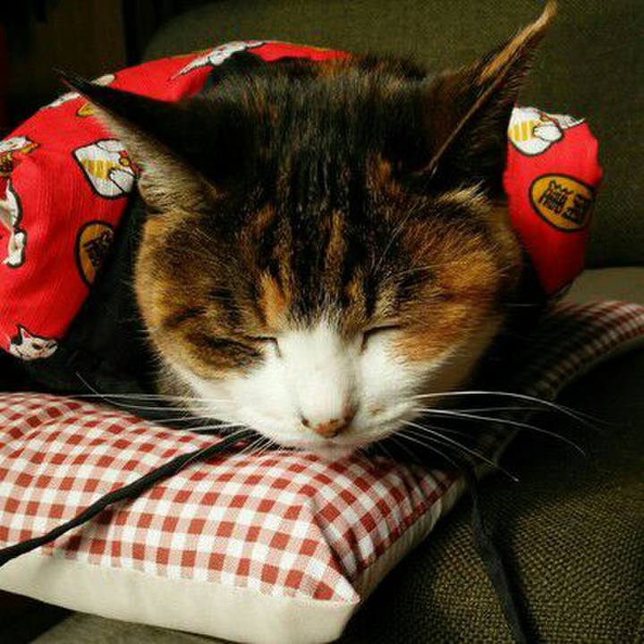 B4981eac fbc9 41dd 9807 dc6fe3be954e