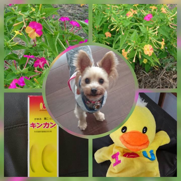 B4982654 9d15 409b 909d c13f25d58248