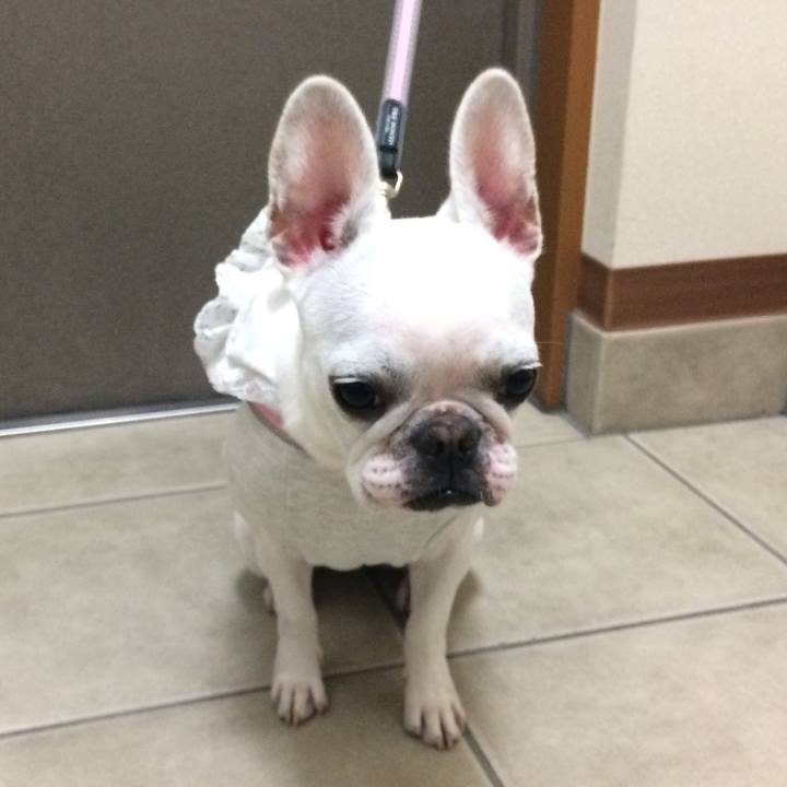 B498fdbd a89c 49a3 8565 b7f4b3ffa104