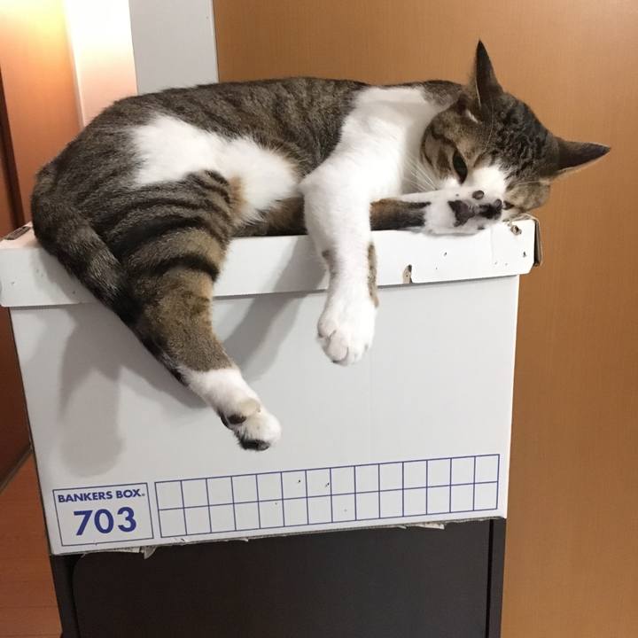 B4997f07 0978 442a b641 b72e1eec460a