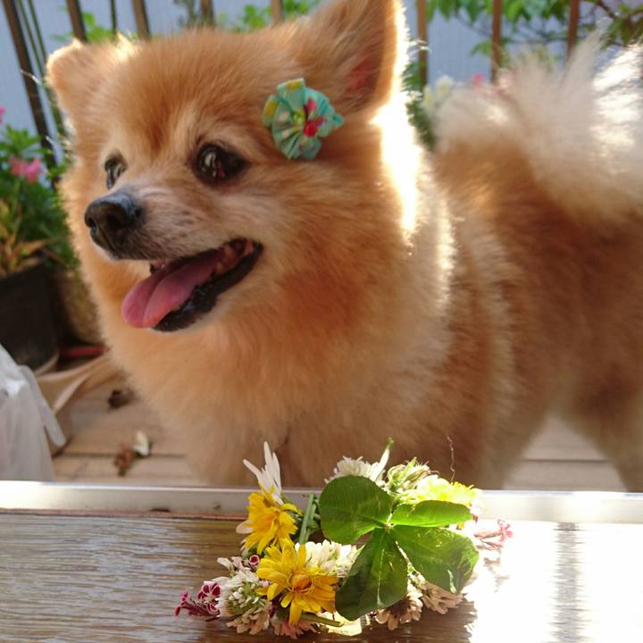 B49983a7 db25 4b9c 8e38 6455136a176c