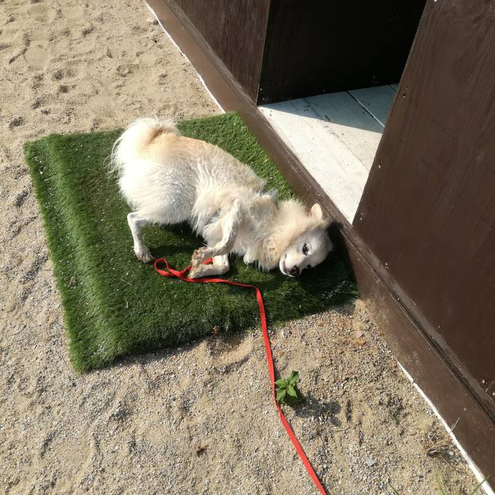 B49a5dcb 6360 4b49 b387 7cea163a87cc