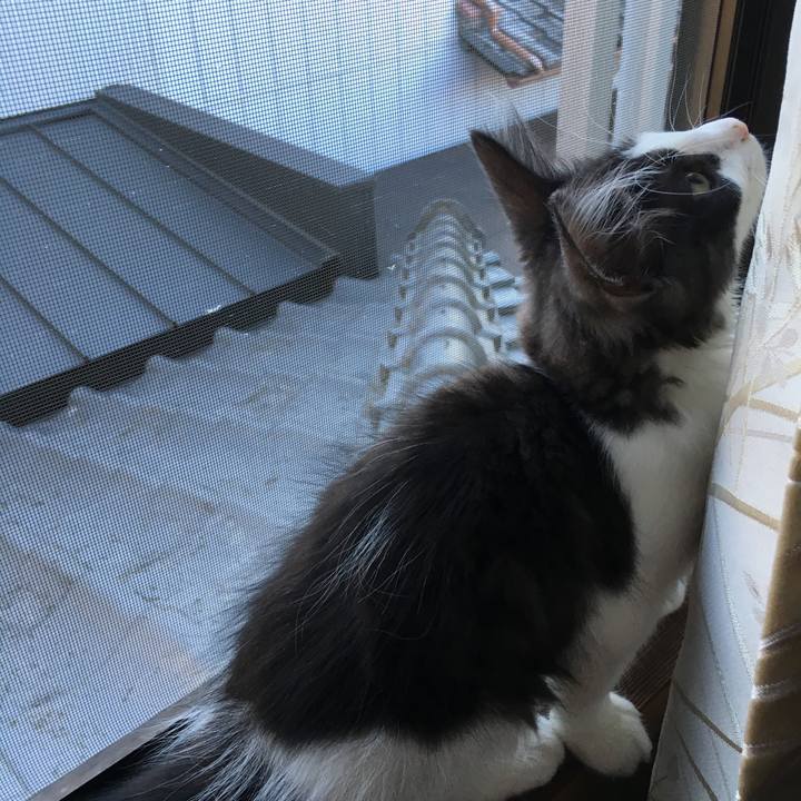 B49a78d7 49b1 4ed4 baa7 ef327738646c