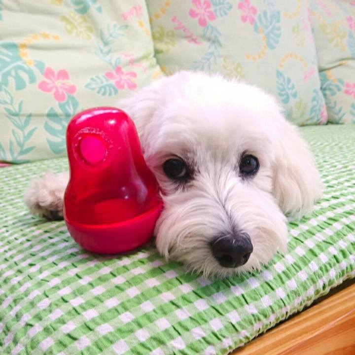 B49b484d be77 4d20 aa40 d4fe39d5eaa6