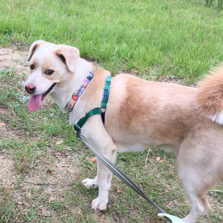 B49ba4c1 aebe 4ed1 ba65 d2be54f14a93