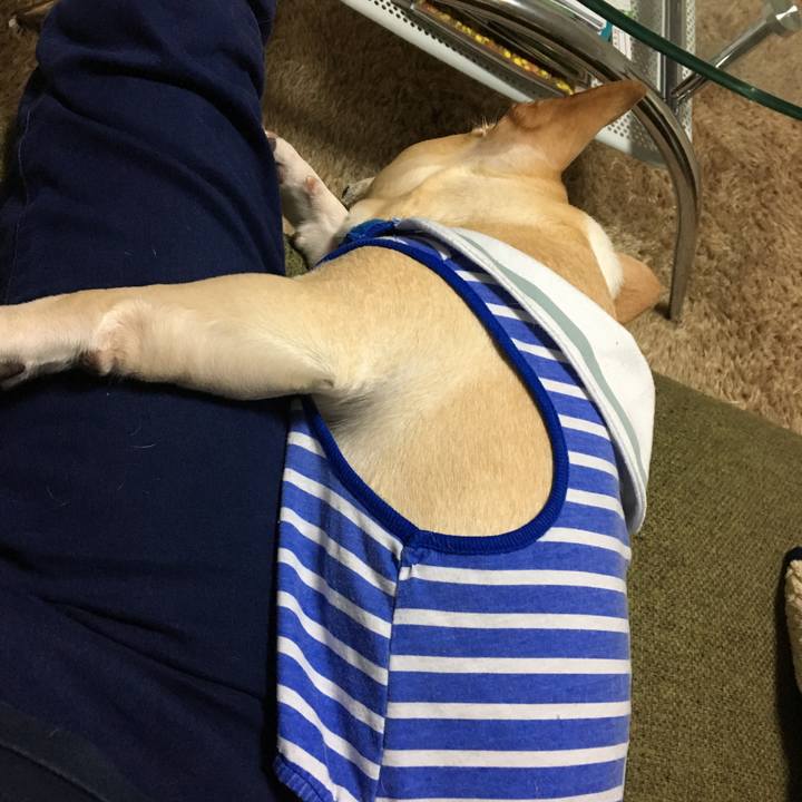 B49bceb0 a261 4150 b69a ffc014e455a1