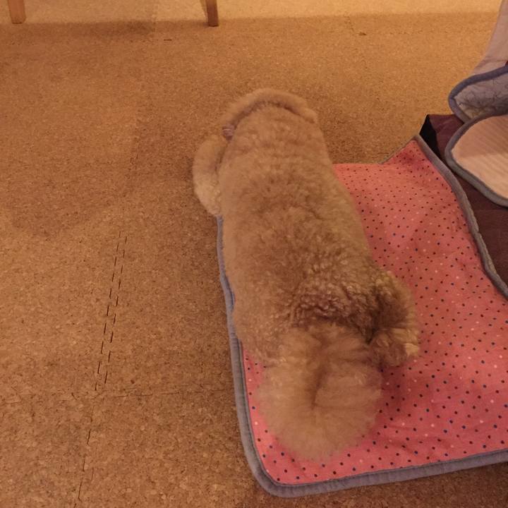 B49c1894 3466 44f7 aebf a28a66f656ba