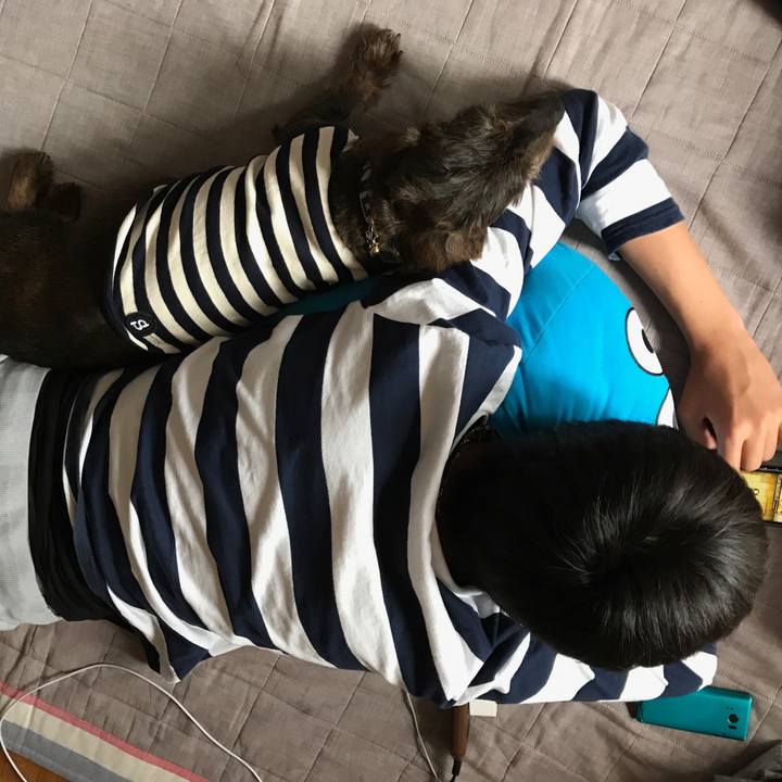 B49c6fcc 7936 4754 8e85 0ba99d3ca2b4