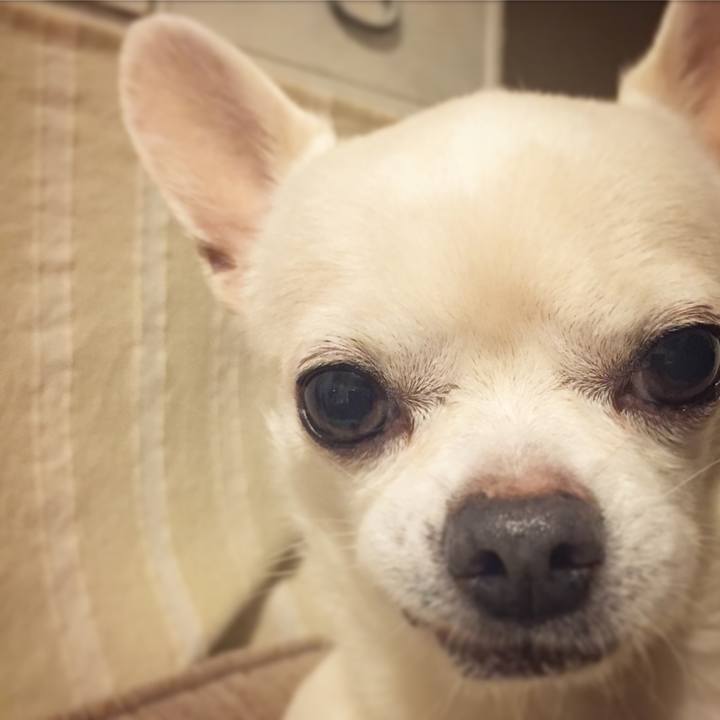 B49ce7a1 c90f 494b bffa 23da47695c0d