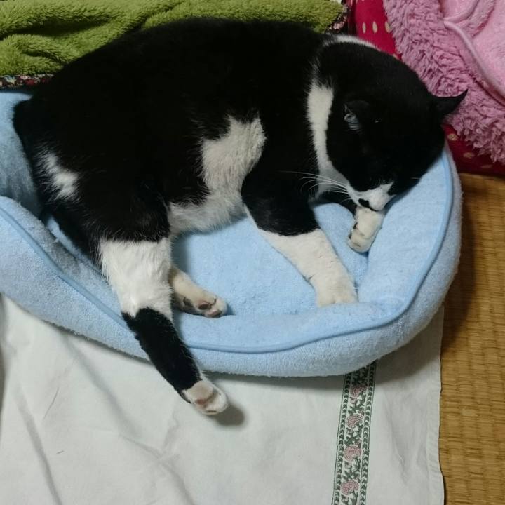 B49d1642 8234 4d70 a9b8 14844e8d2e77