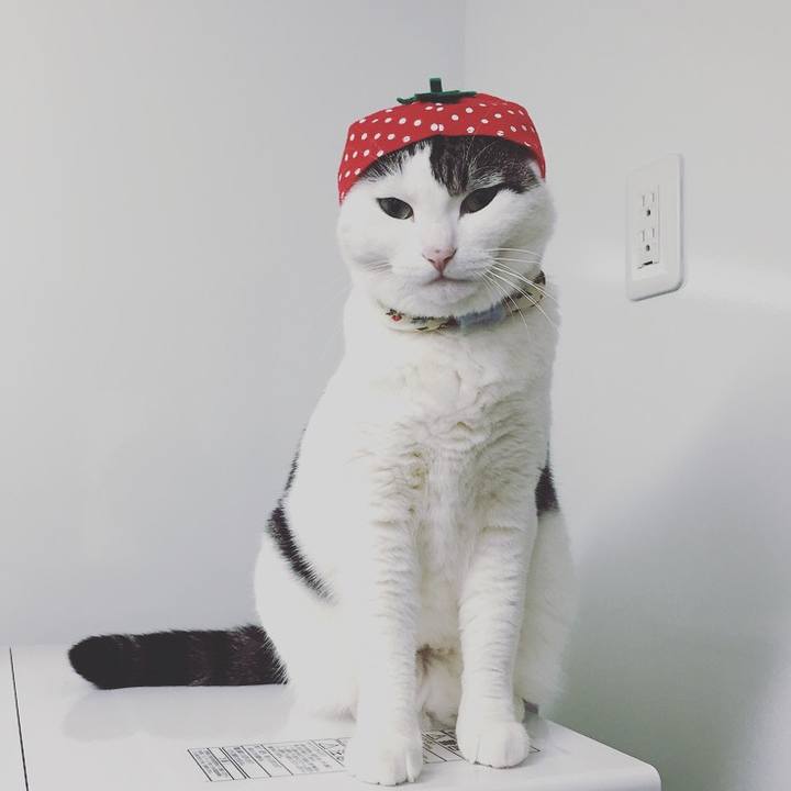 B49e14d8 2148 42d1 8994 d4b57e25effc