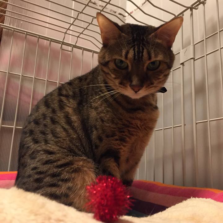 B49e5c67 9cc2 492e af61 18ed3097623e