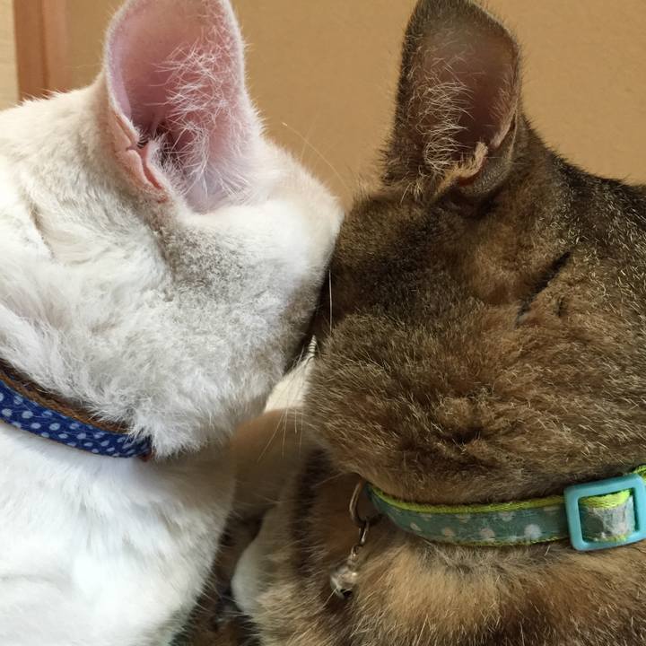 B49f142c 42be 4912 8abb 050f84af89b3