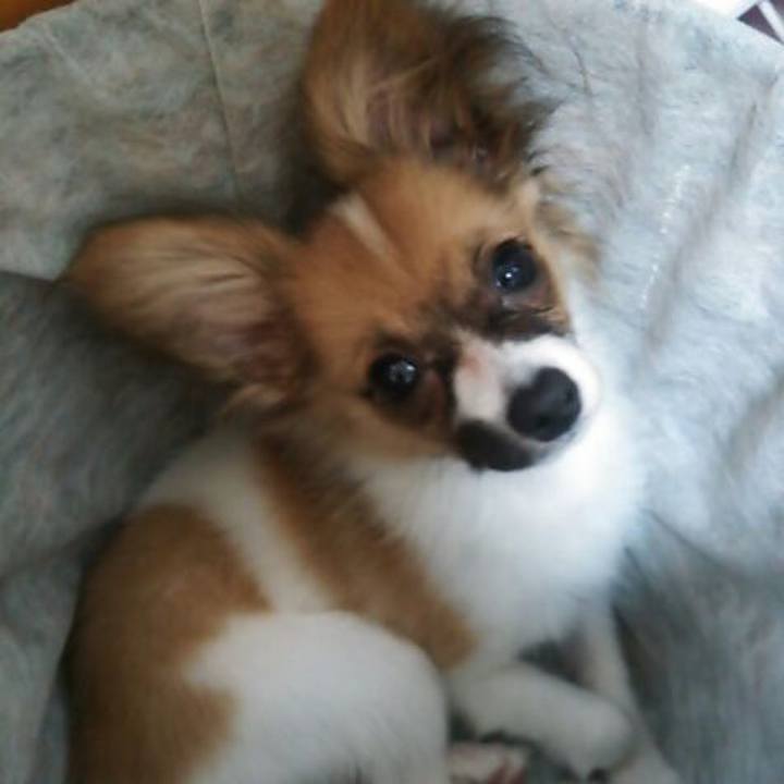 B49f2536 71f5 4072 8b75 436dd148d579