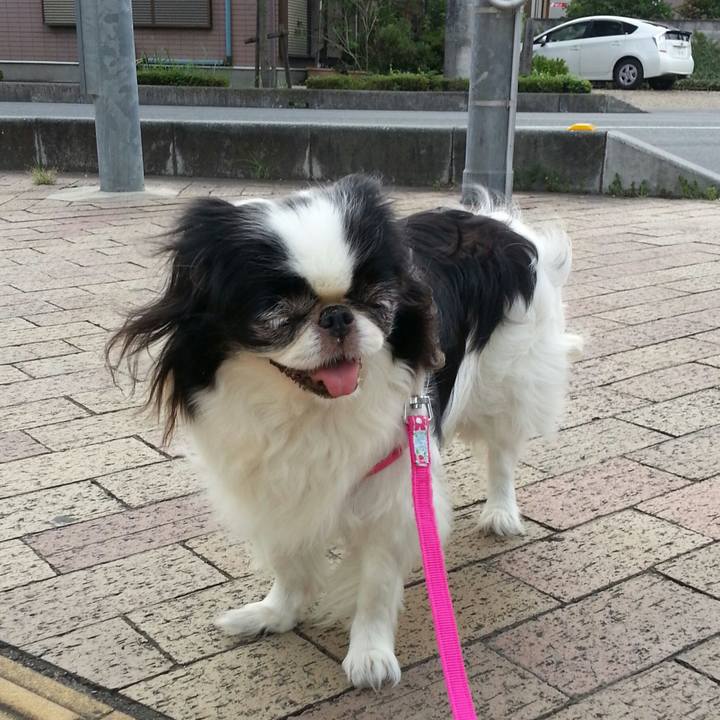 B4a0e51c 6c51 456b a36f 140bc1aa7688