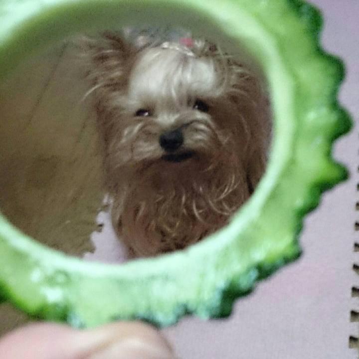 B4a17ebb 3b4e 45ab 9ca6 4531ad7e1eae