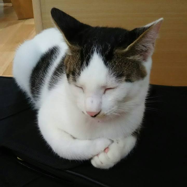 B4a21fac 4565 41d8 b455 08cd5ffde6d3