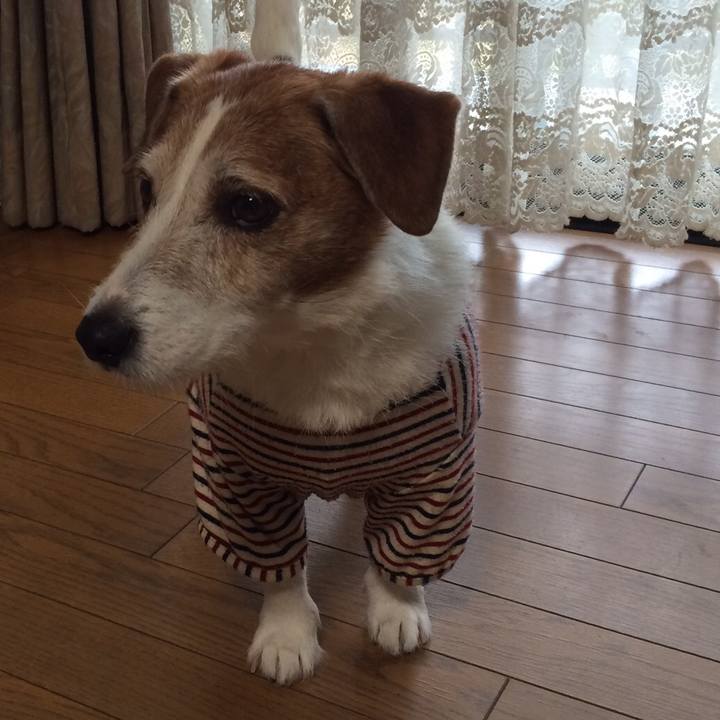 B4a24035 b2c5 400a 8dec 17e1ee63d971